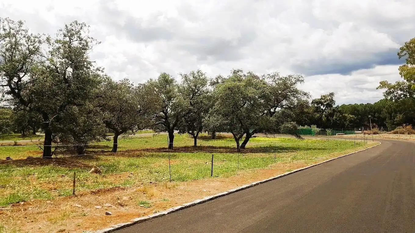 Casa o chalet en venta en Guillena con Aire acondicionado, Jardín privado y Terraza