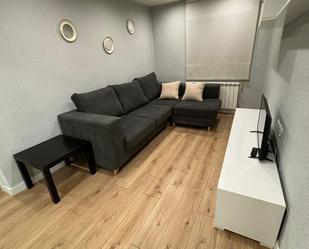 Living room of Flat to share in Salamanca Capital  with Terrace