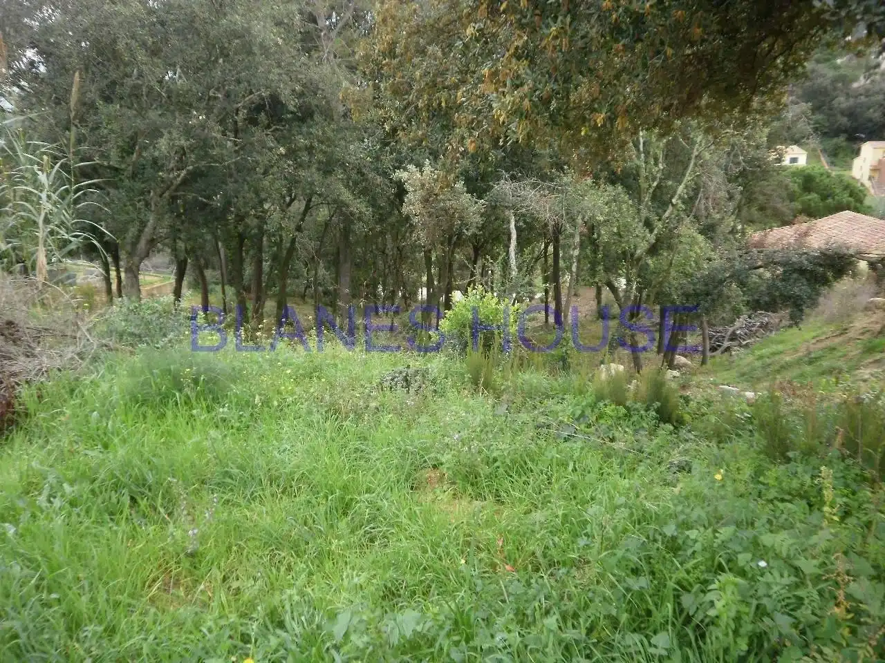 Terreno residencial en venta en Palafolls, imagen 3
