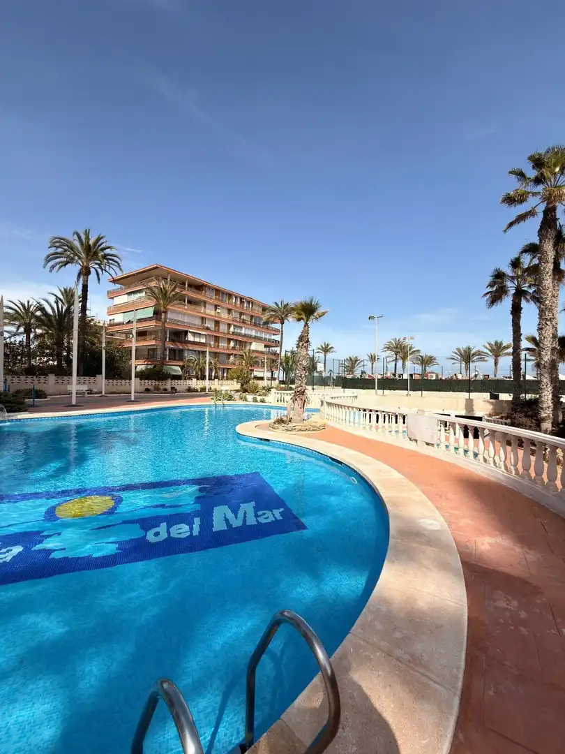 Swimming pool of Flat for rent in Alicante / Alacant  with Air Conditioner, Private garden and Terrace