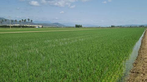 Photo 4 of Land for sale in la Ràpita, Centre, La Ràpita
