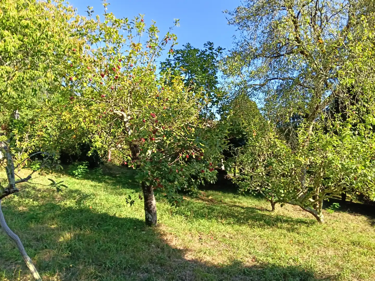 Casa amb jardí en venda a Oza dos Ríos, imagen 10