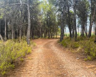 Finca rústica en venda en Iznalloz