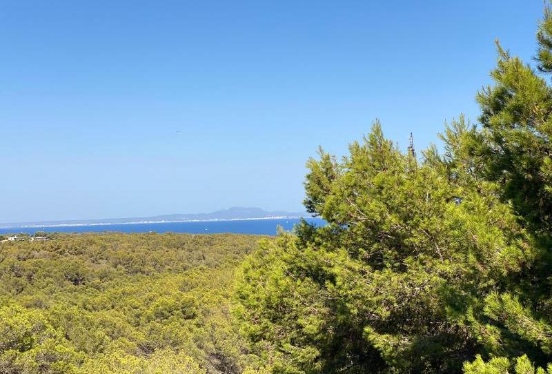 Photo 1 of Apartment for sale in 0, -1, Sol de Mallorca, Illes Balears