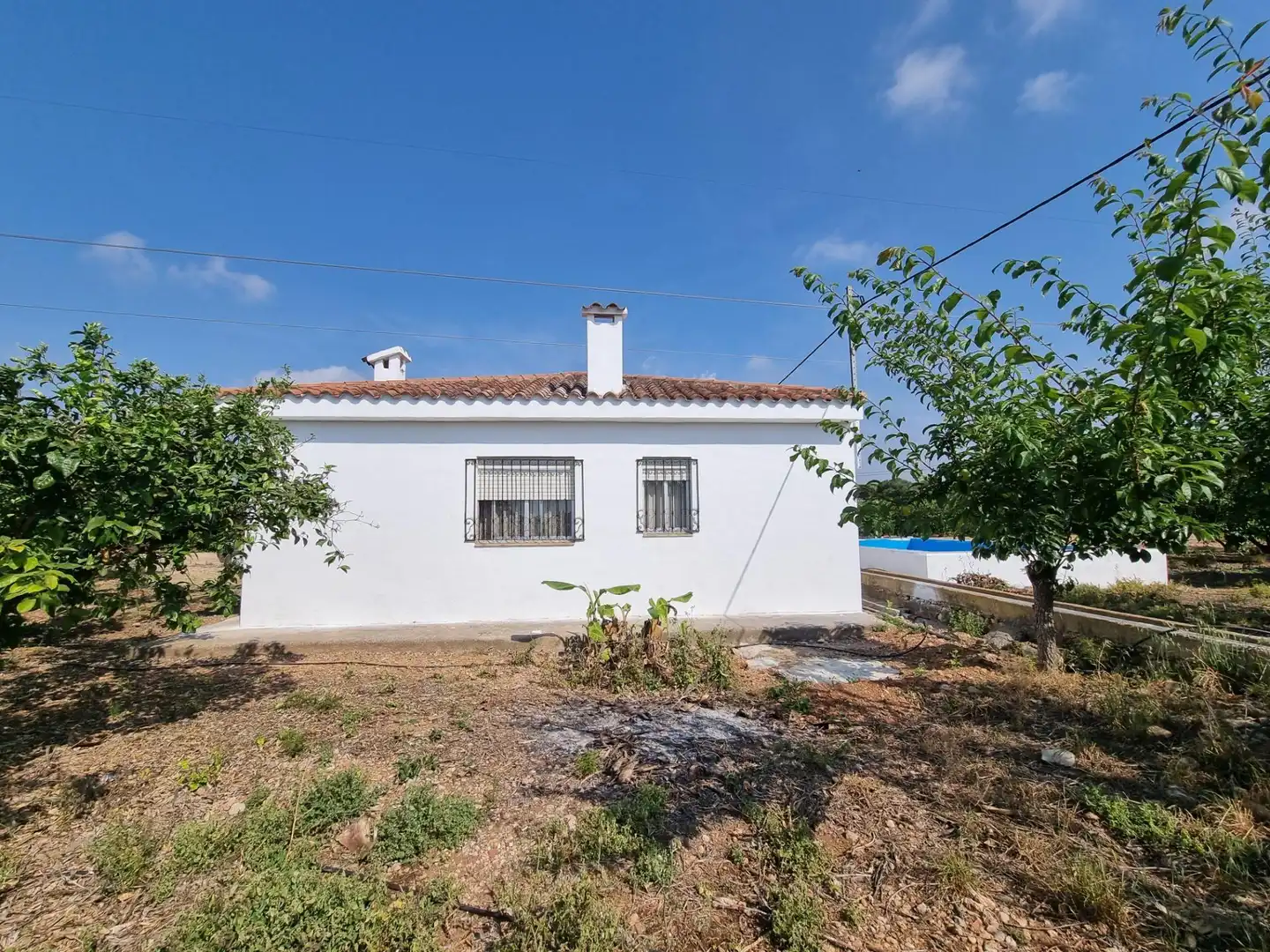 Vista exterior de Finca rústica en venta en Vinaròs con Piscina y Amueblado
