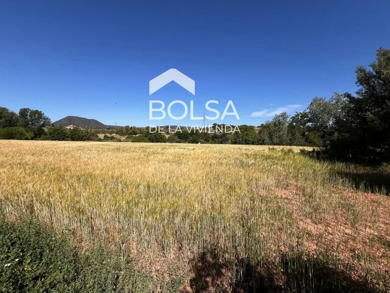 Rural land for sale in Barri Mion - Puigberenguer, imagen 3