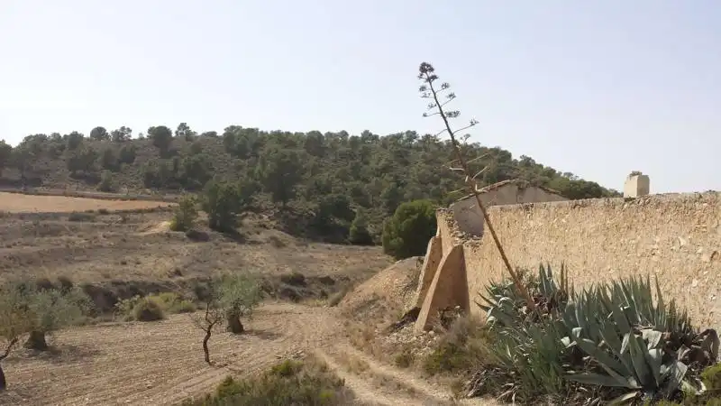 Villa avec jardin à vendre à Fortuna, imagen 45