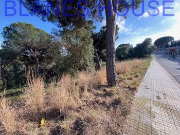 Terreno rustico in vendita a Calle Pedraforca