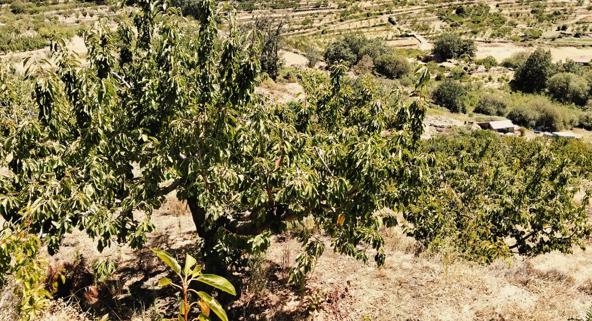 Terreni e lotti in vendita a N/A, imagen 23