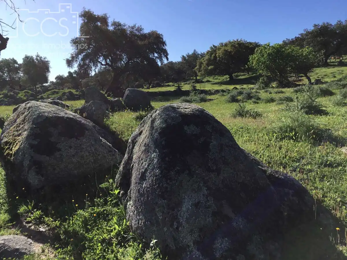 Finca rústica en venda en El Pedroso amb Traster, Piscina i Moblat