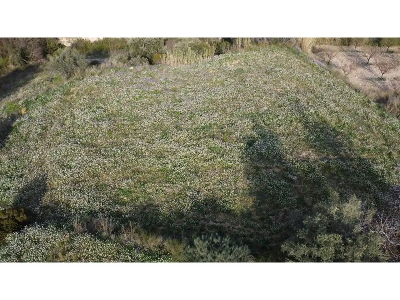 Residencial en venda en Caravaca de la Cruz