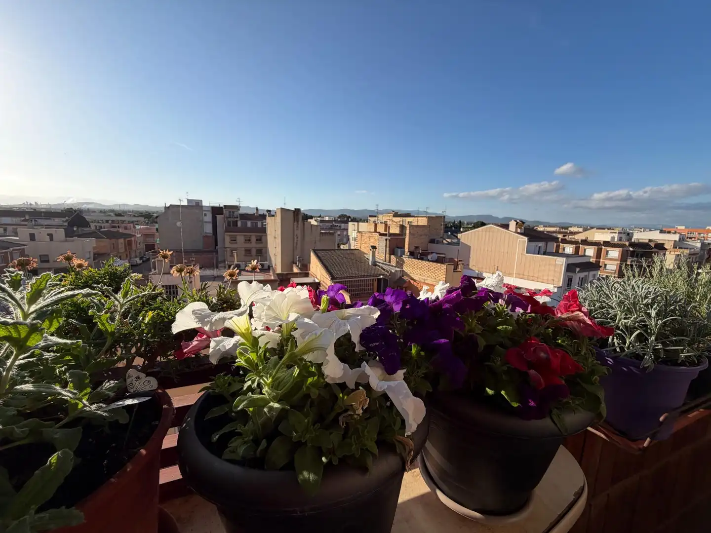 Terrassa de Pis en venda en L'Aldea