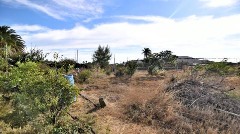 Foto 5 de Finca rústica en venda a Lugar Milano el, Agüimes - Temisas, Agüimes