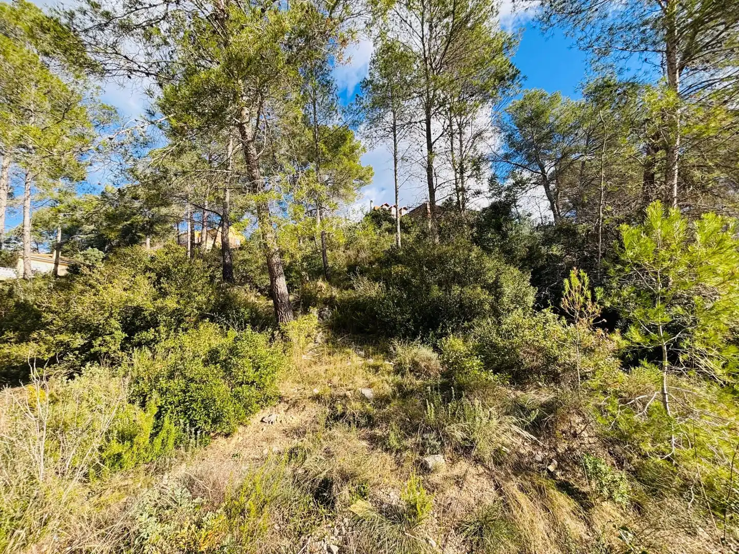 Grundstücke und Bauplätze zum Verkauf in Olivella, imagen 18