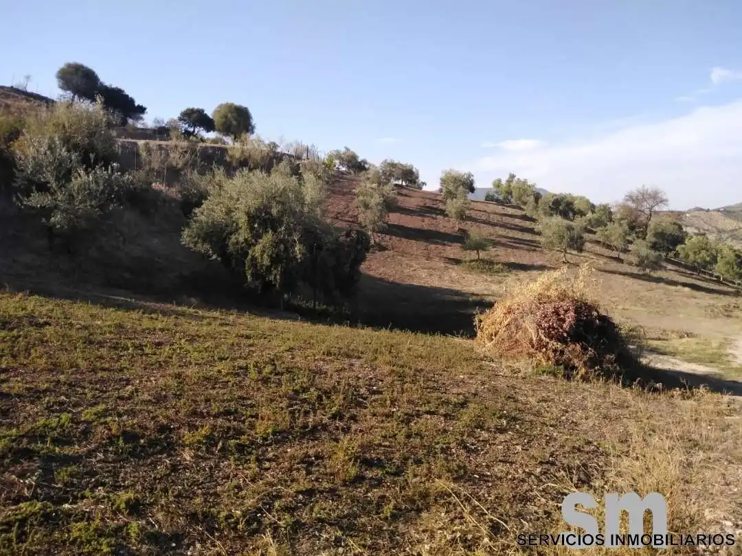 Terreno en venta en Zahara