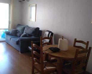 Living room of Study to rent in Elche / Elx  with Oven, Washing machine and Balcony