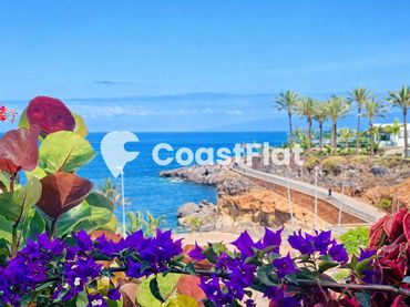 Apartament en venda a ADEJE 300
