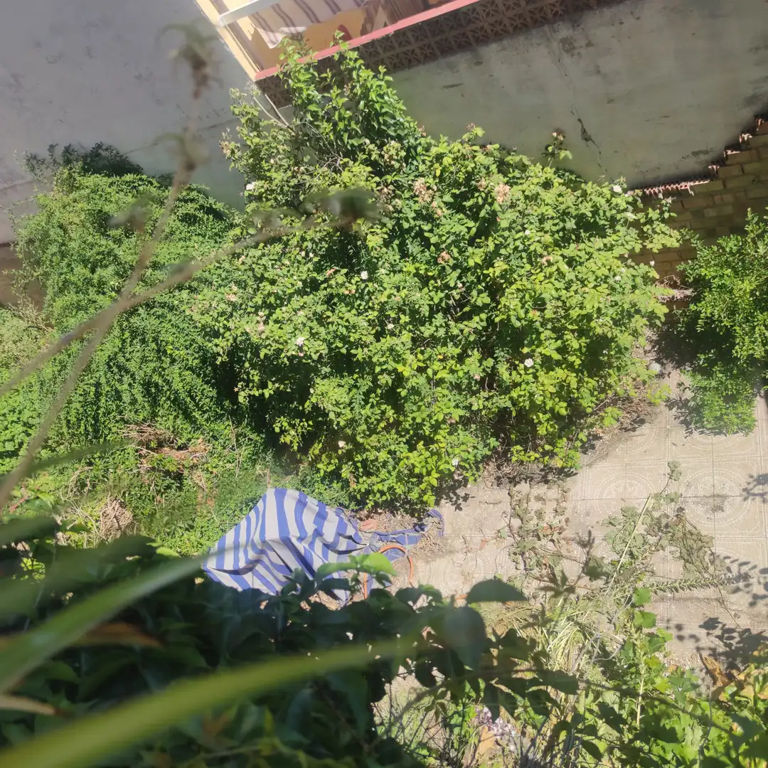 Casa amb terrassa en venda a Calle Fuente la Zarza, imagen 16