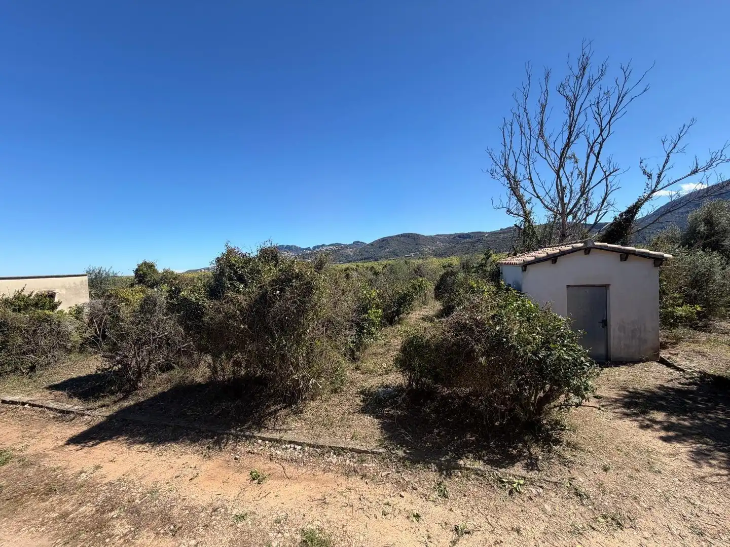 Rural land for sale in Pego, imagen 15
