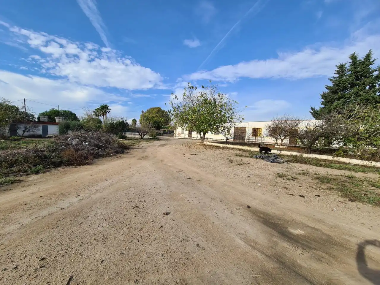 Terrain rustique à vendre à Riudoms, imagen 2