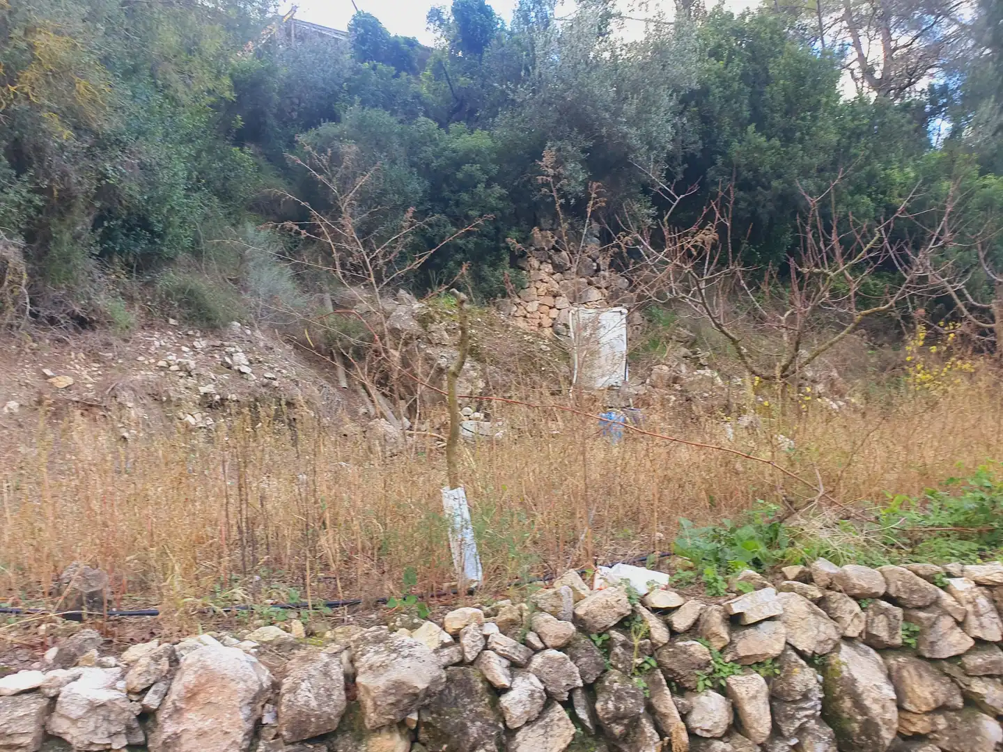 Terreno rústico en venta en Benifallet, imagen 23