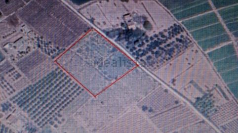 Foto 3 von Residential zum Verkauf in Camí de Ventarich, 172, Alzabares, Elche / Elx
