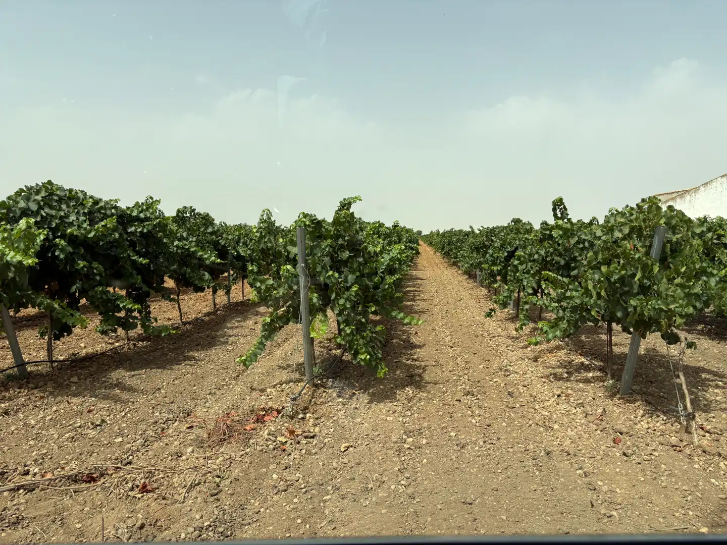 Terreno rustico in vendita a N/A, imagen 20