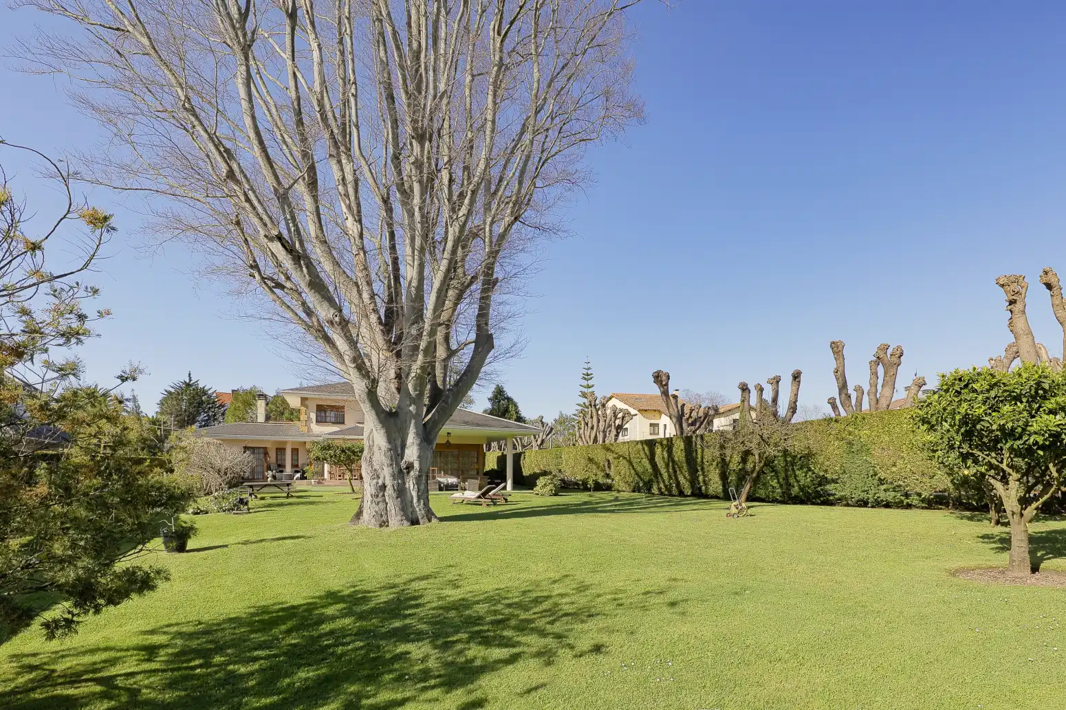 Jardí de Casa o xalet en venda en Gijón  amb Calefacció, Jardí privat i Parquet