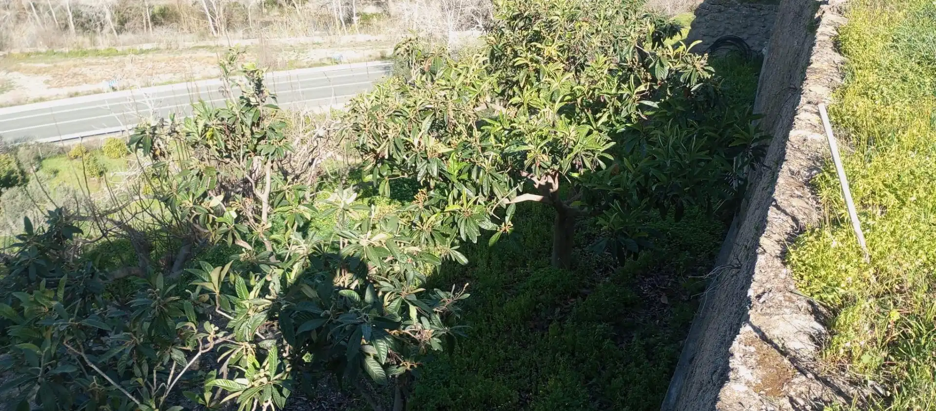 Casa rústica amb jardí en venda a Vélez de Benaudalla, imagen 9
