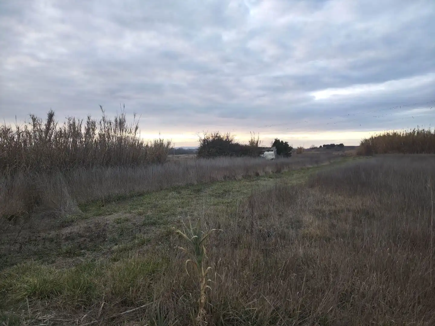 Terreno en venta en Grañén
