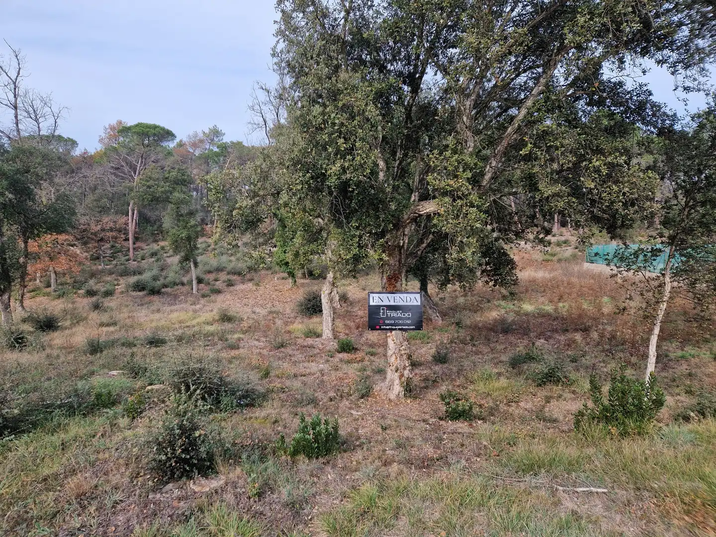 Residential land for sale in Avinguda Catalunya 47, imagen 4
