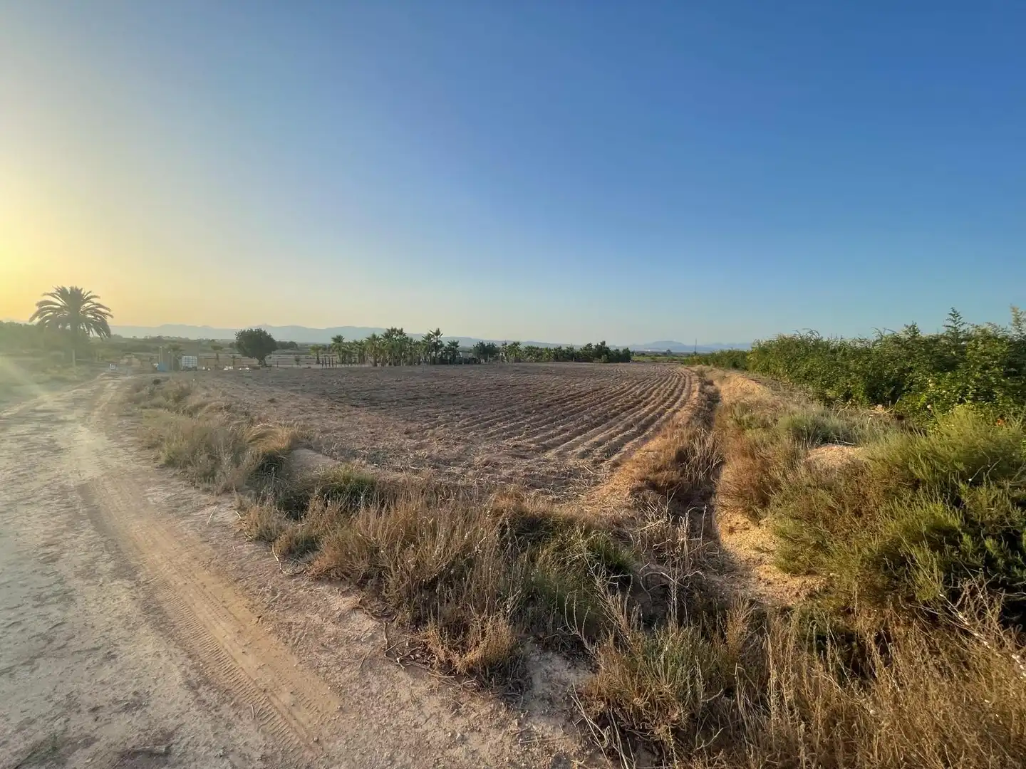 Terrain rustique à vendre à La Foia - Daimés - Asprella, imagen 5