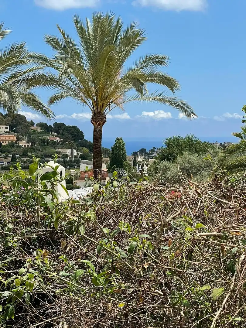 Maison avec piscine à vendre à Cala Advocat - Baladrar, imagen 27