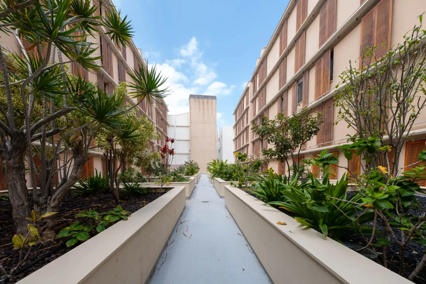 Apartament en venda a Calle Pizarro, Guanarteme