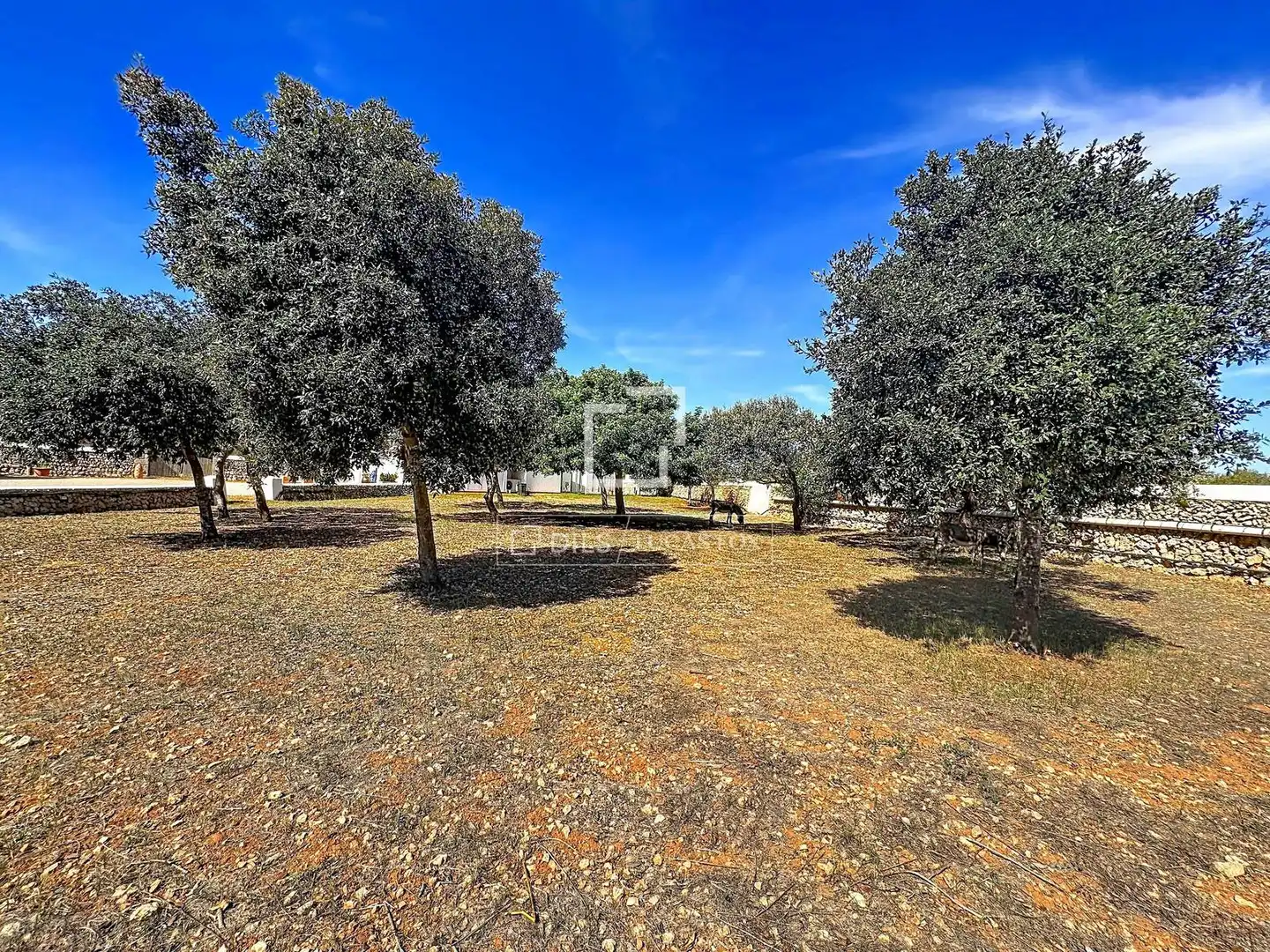Maison rustique avec terrasse à vendre à Es Castell poble, imagen 55