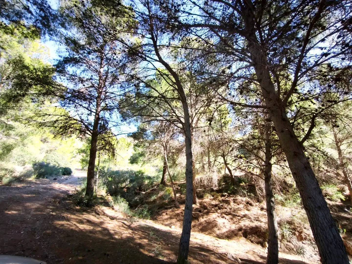Terrains et parcelles à vendre à MORATA, imagen 32