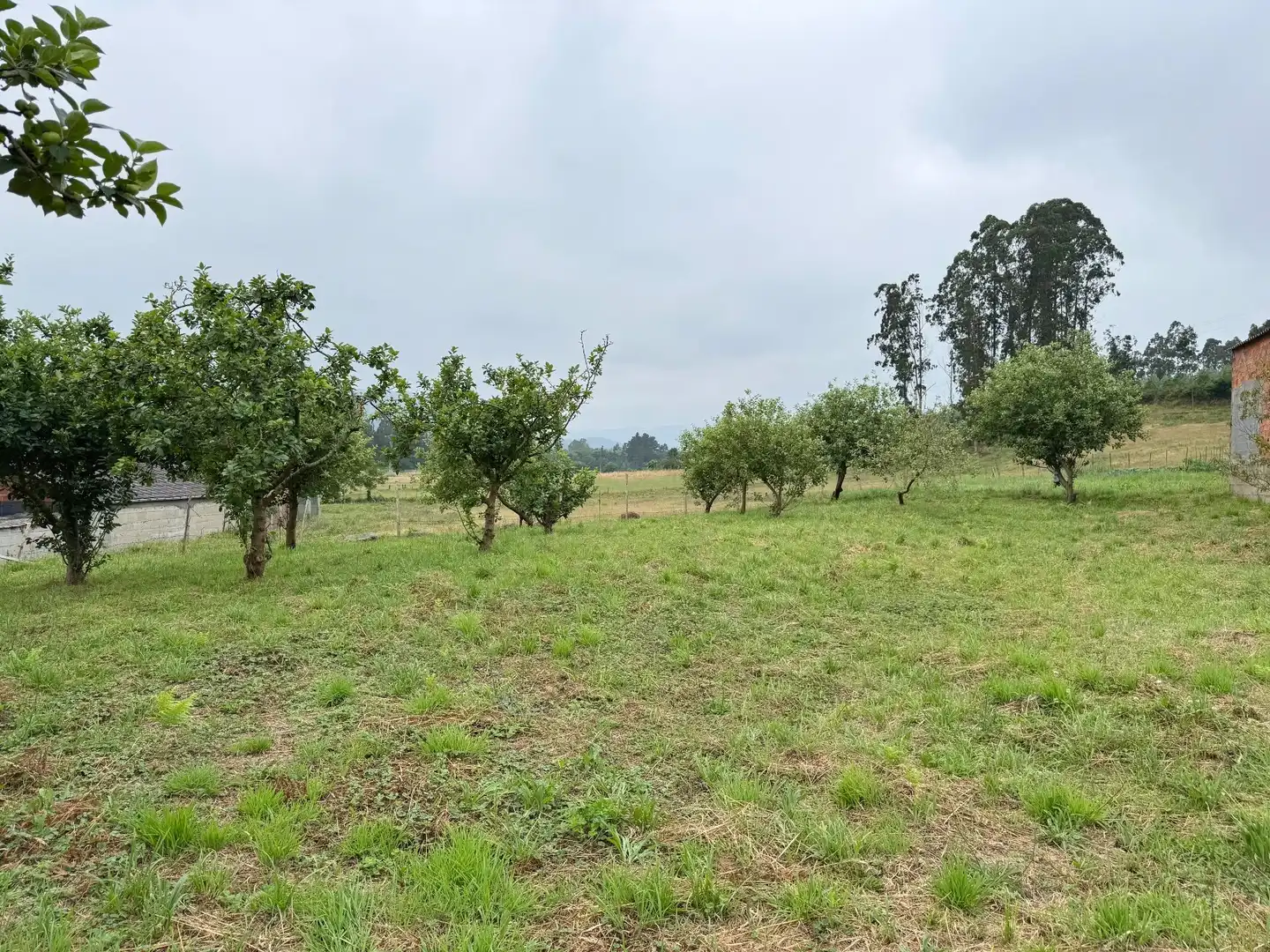 Residential for sale in Alfoz