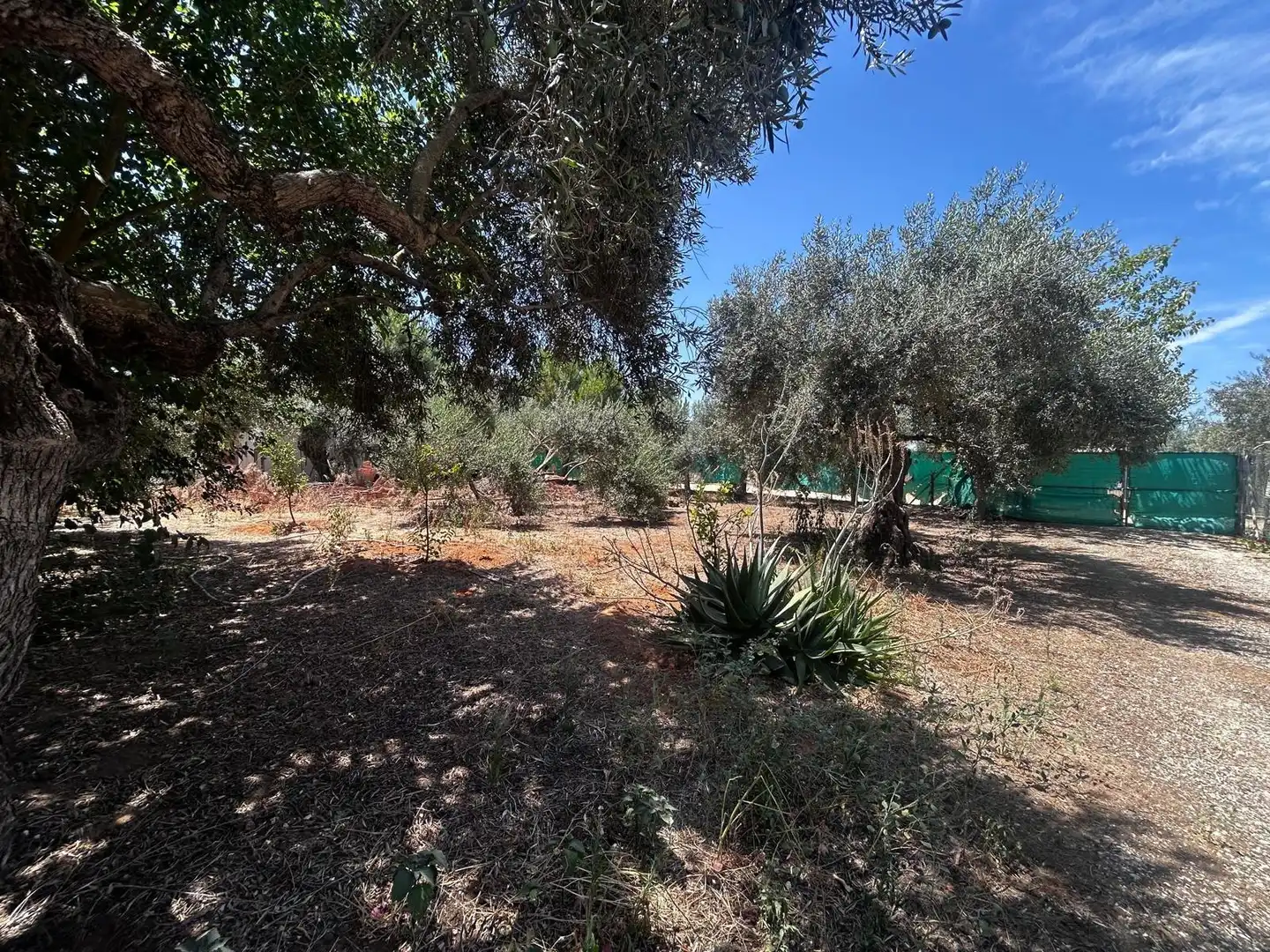 Terreni e lotti in vendita a Arahal, imagen 11