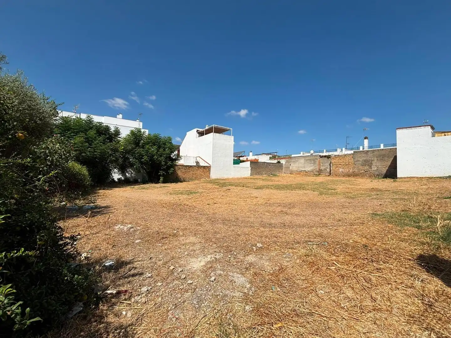 Terrain résidentiel à vendre à Centro, imagen 7