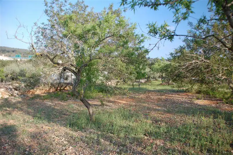Finca rústica en venda en El Perelló