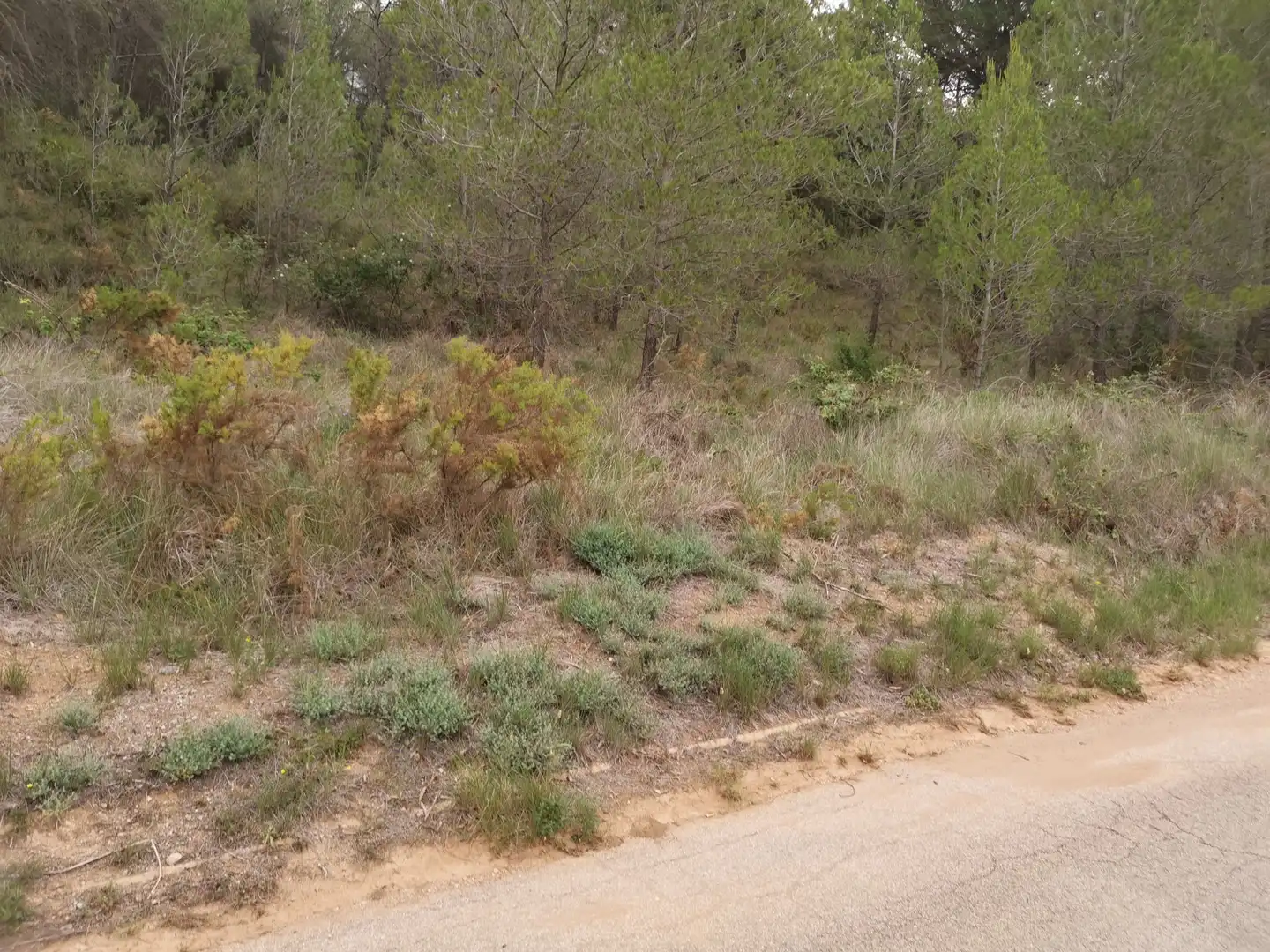 Residencial en venda en El Montmell