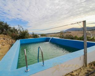 Piscina de Finca rústica en venda en Alhaurín de la Torre amb Jardí privat i Piscina