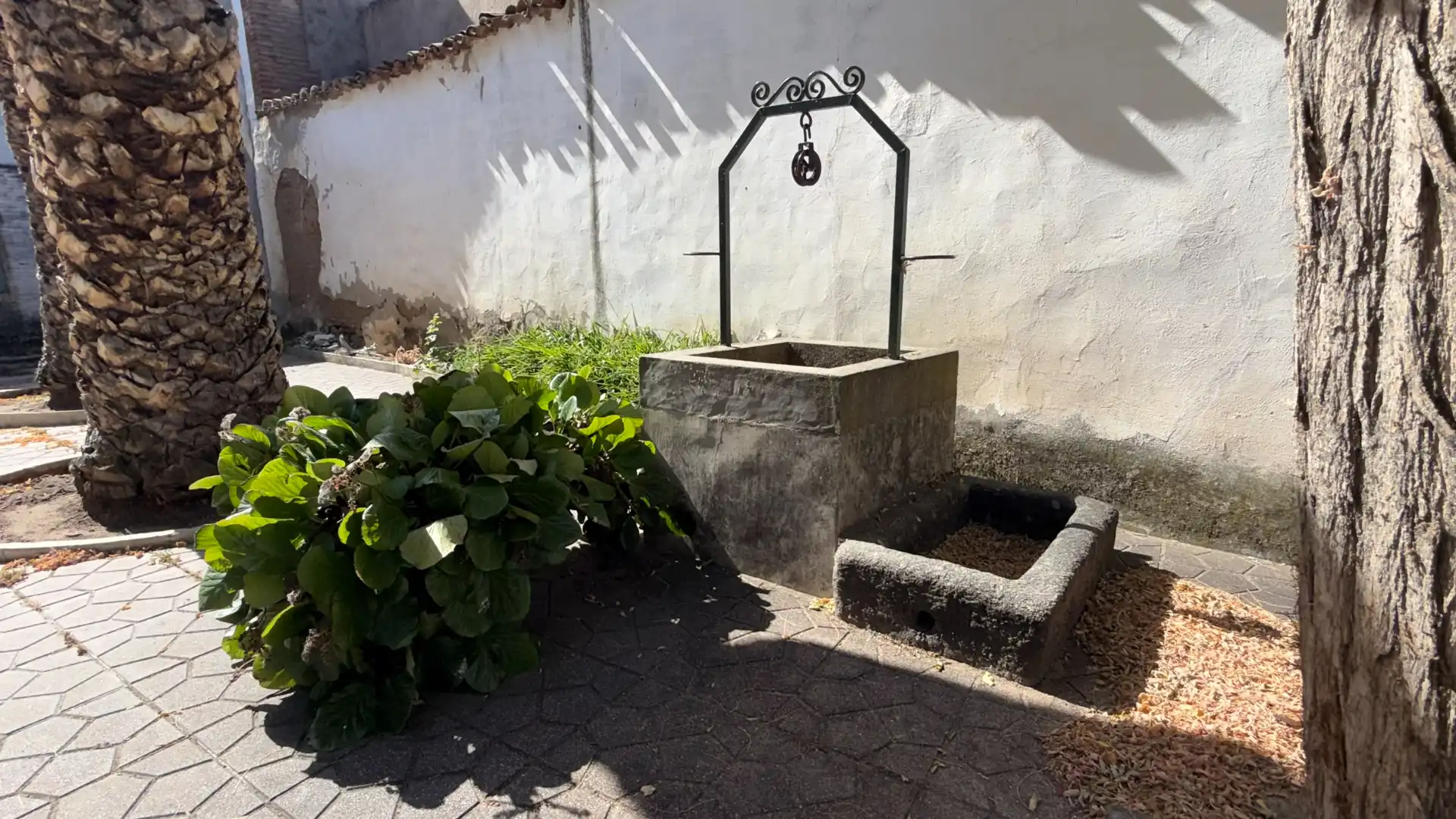 Jardí de Casa o xalet en venda en Villa del Prado