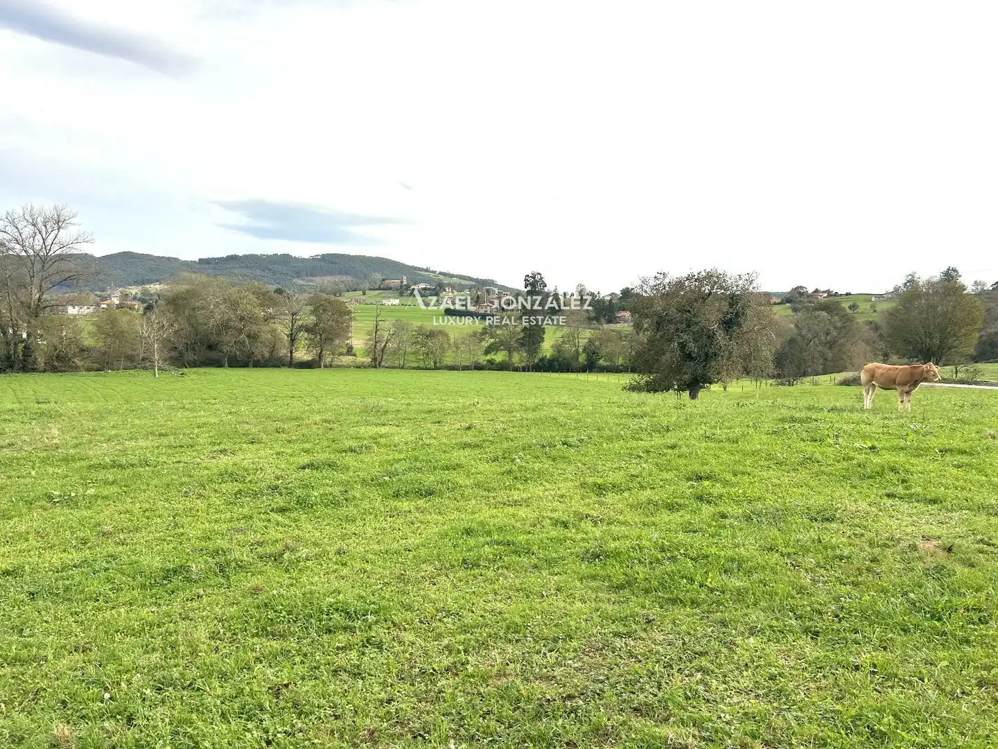 Terreni e lotti in vendita a El Cierro, Ribamontán al Monte, imagen 13