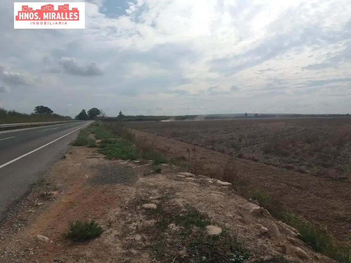 Terreno rustico in vendita a Dolores, imagen 2