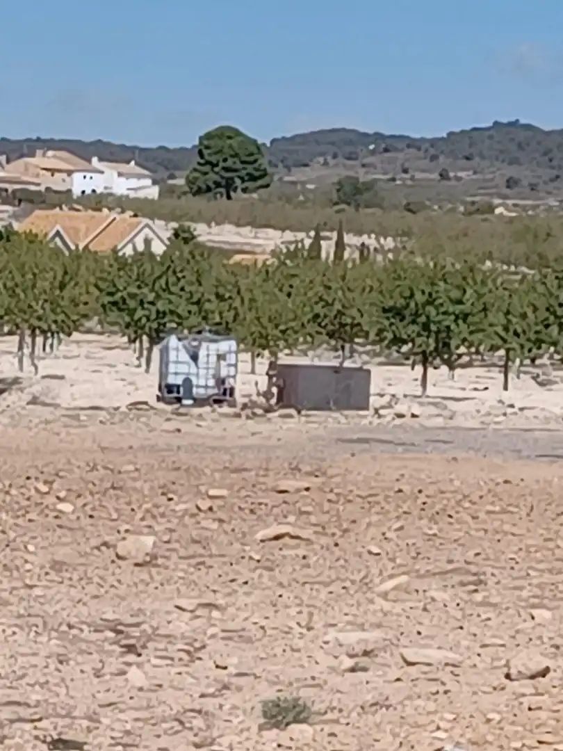 Terreny residencial en venda a El Pinós / Pinoso, imagen 11
