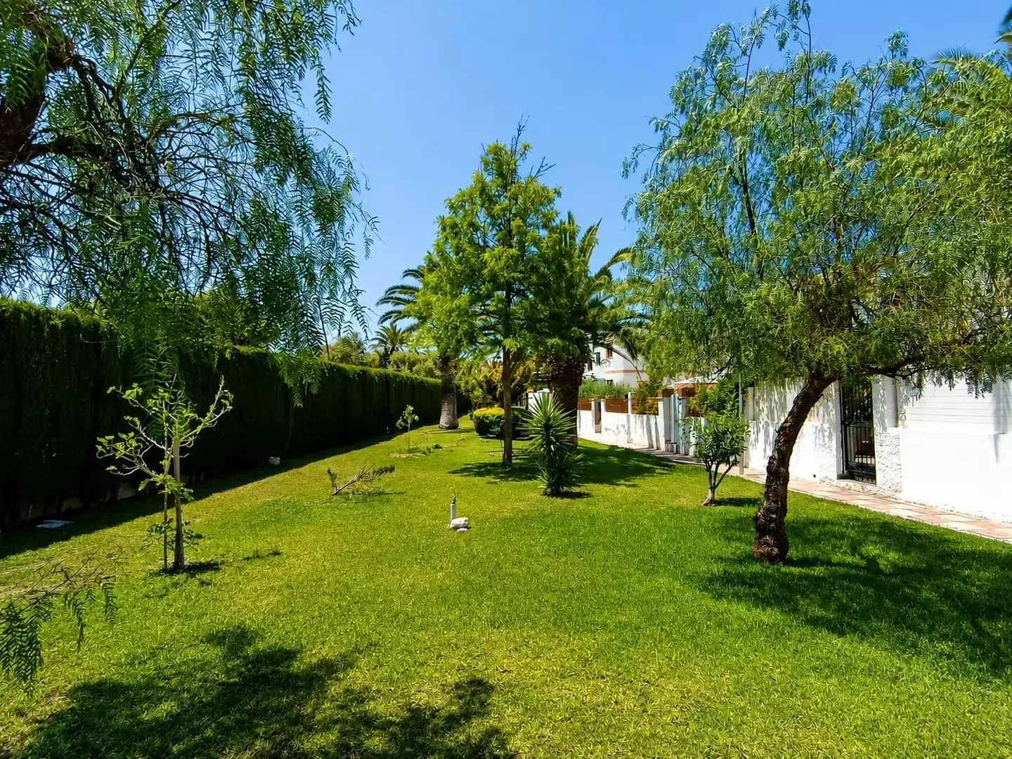 Jardí de Casa o xalet en venda en El Campello amb Aire condicionat, Jardí privat i Terrassa