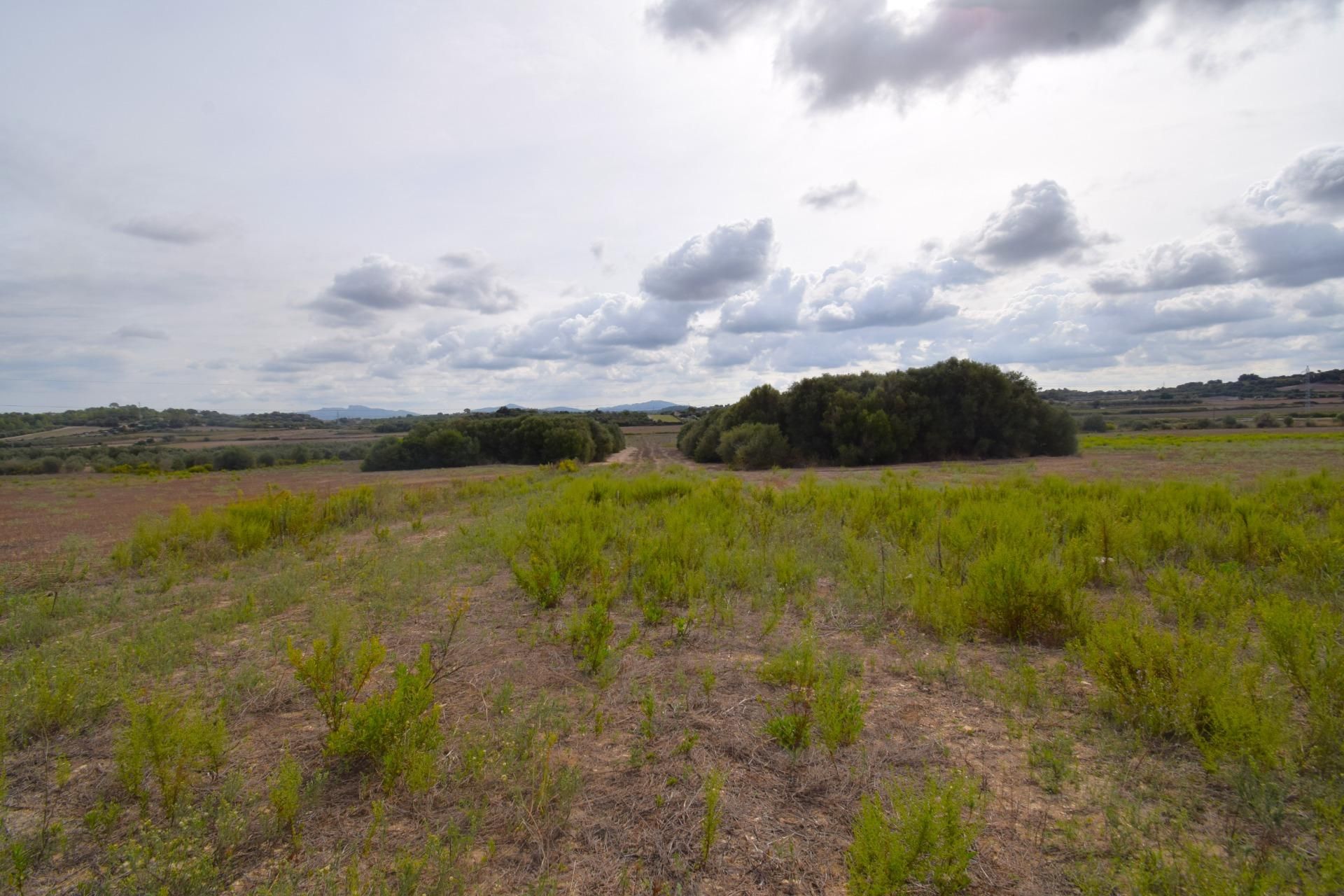 Residential for sale in Muro