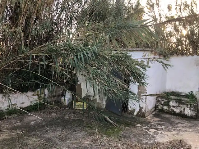 Casa o chalet en venta en Grau de Gandia - Venecia - Marenys de Rafalcaid