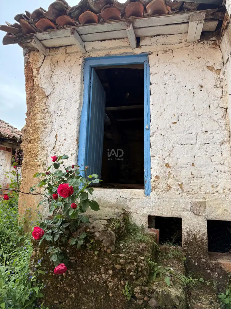 Vista exterior de Finca rústica en venta en Cimanes del Tejar